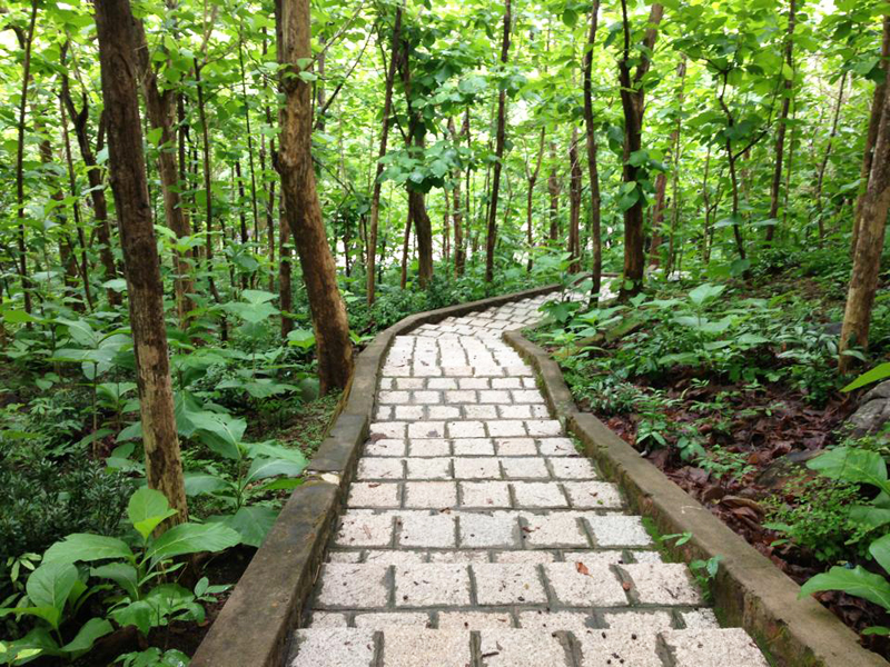 934633_10152876375715363_767990695_n