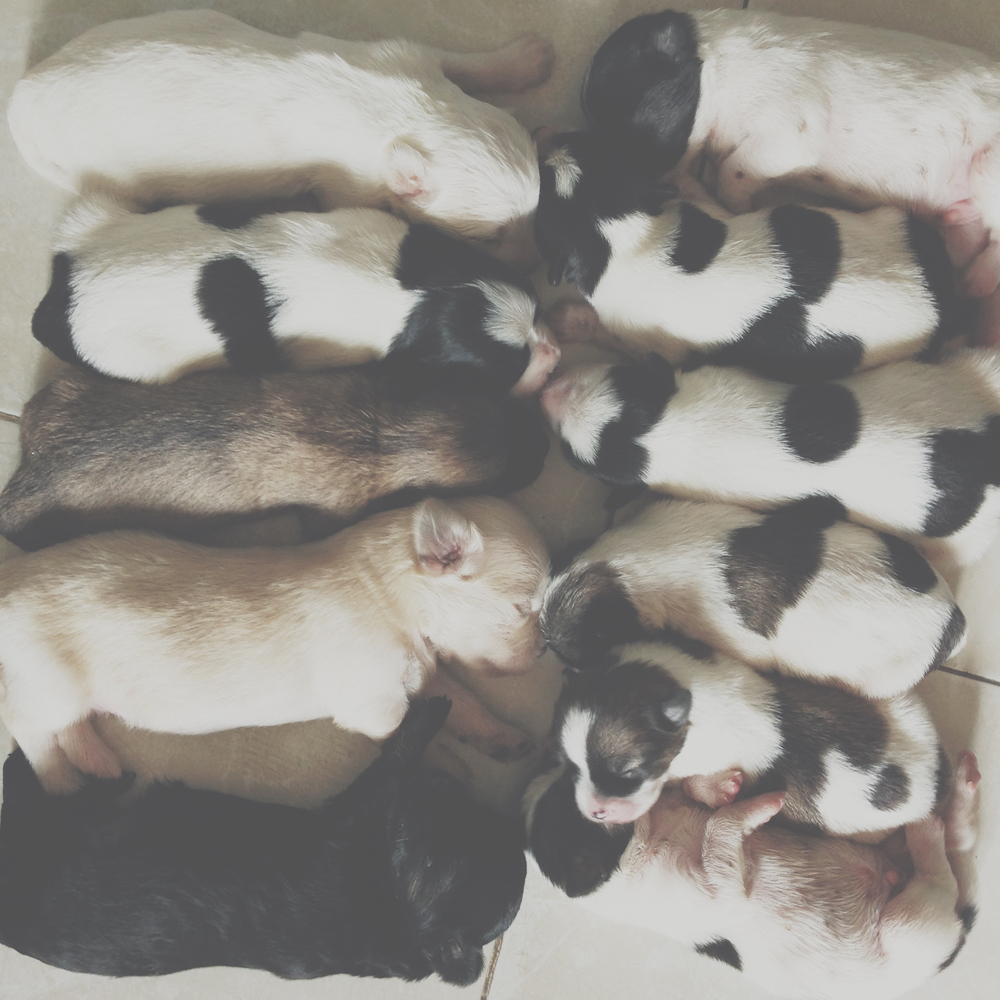 Processed with VSCOcam with t1 preset