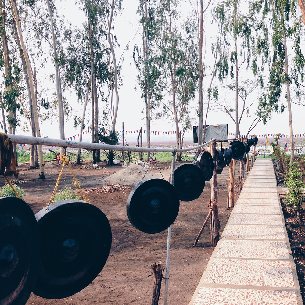 Processed with VSCO with hb1 preset