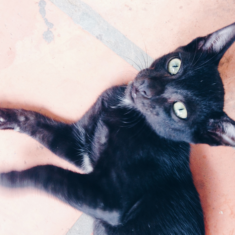 Processed with VSCO with hb1 preset