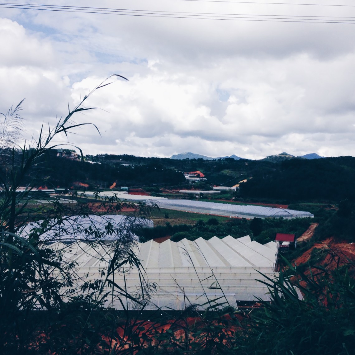 Processed with VSCO with hb1 preset